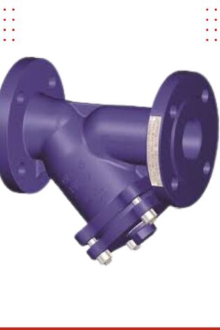 Strainer Valve